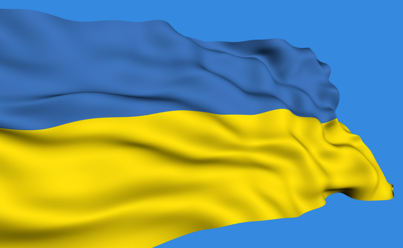 флаг украины для стим фото 81